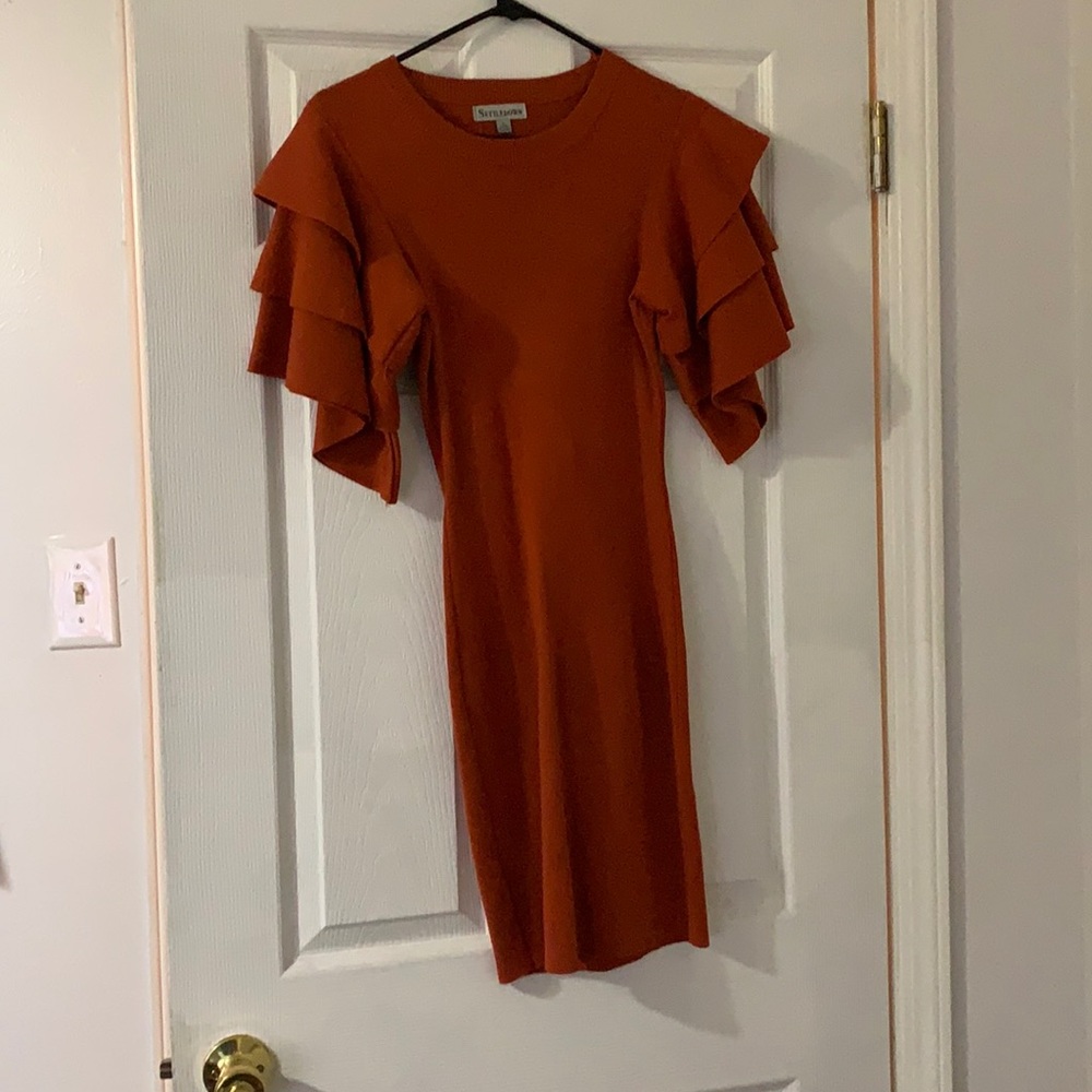 Burnt orange dress from fashion nova worn once!